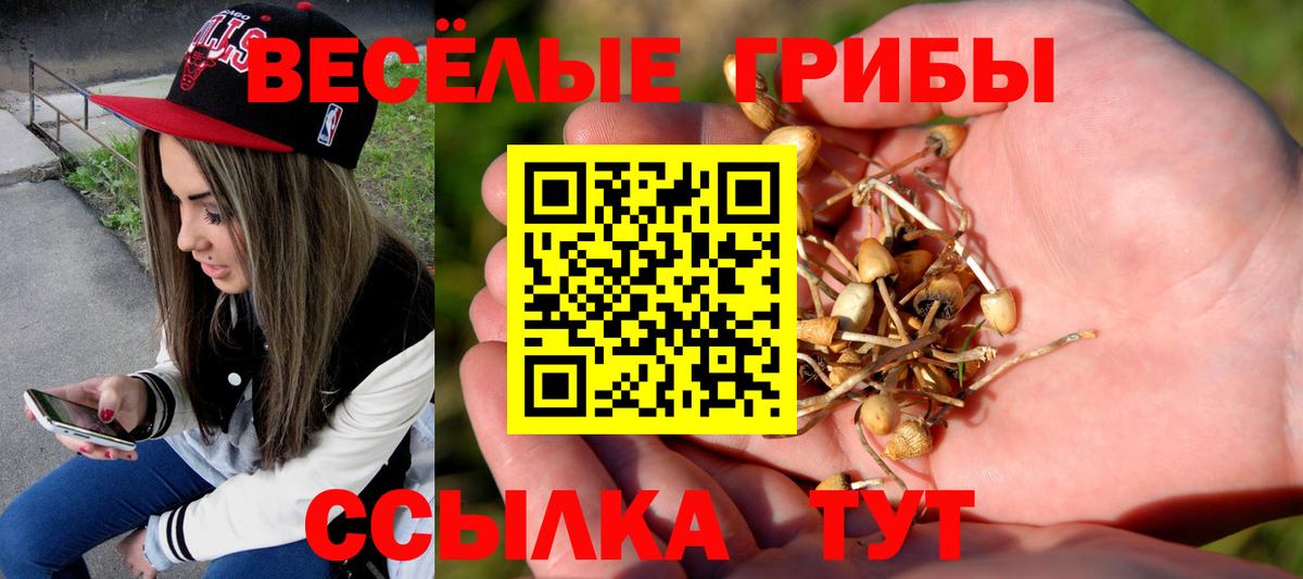 Галлюциногенные грибы ЛСД Долгопрудный