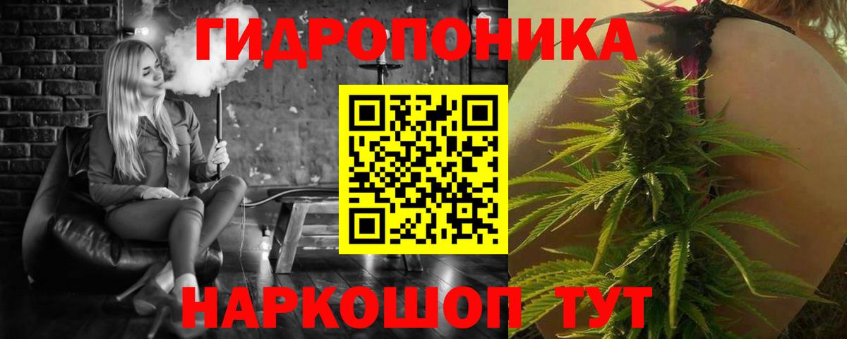 Бошки Шишки конопля Долгопрудный